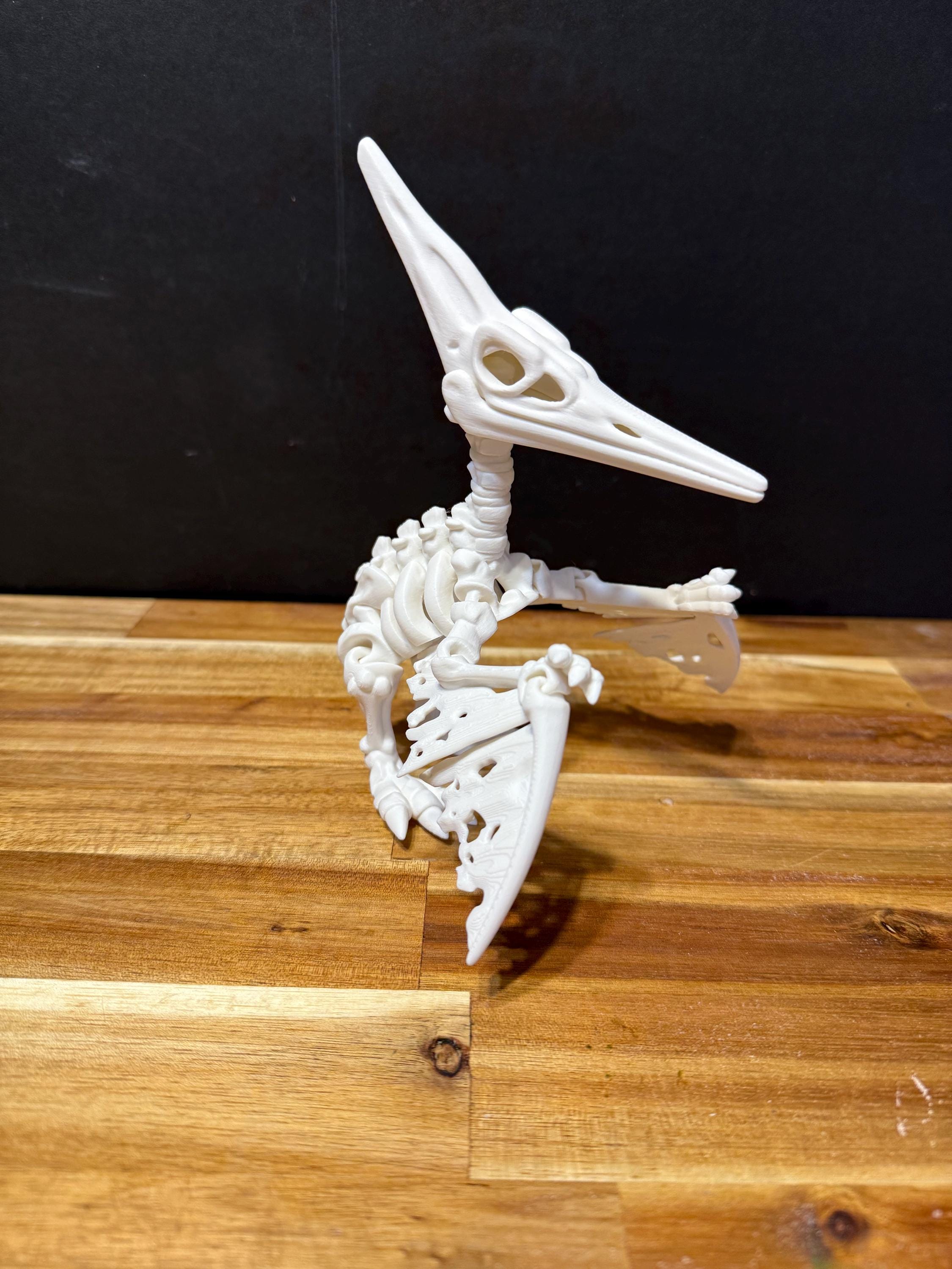 3D Printed Flexi Factory Skeleton Dinosaurs – T-Rex, Pteranodon, Ankylosaurus – Articulated & Poseable