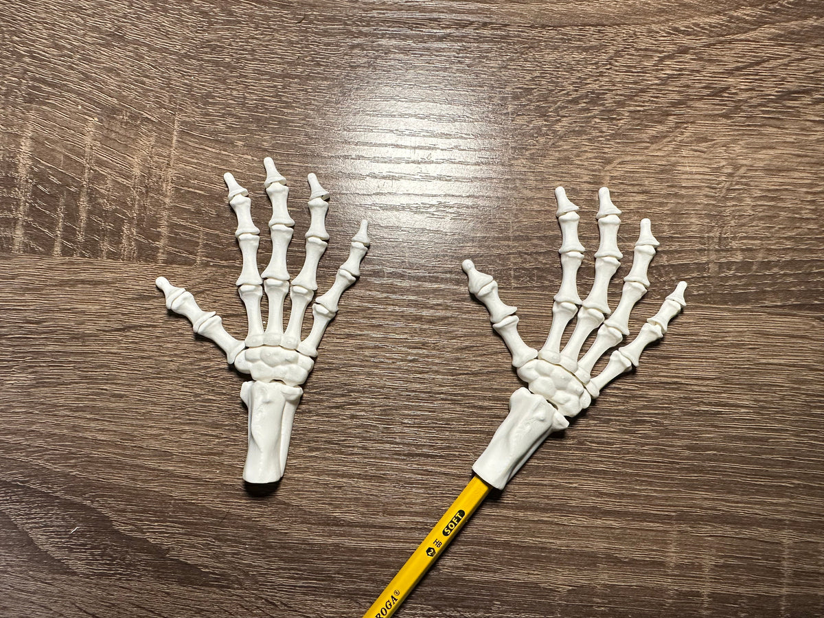 Hands Topper 3D Printed Articulated Hand Pencil Toppers | Skeleton & Regular Hands ...
