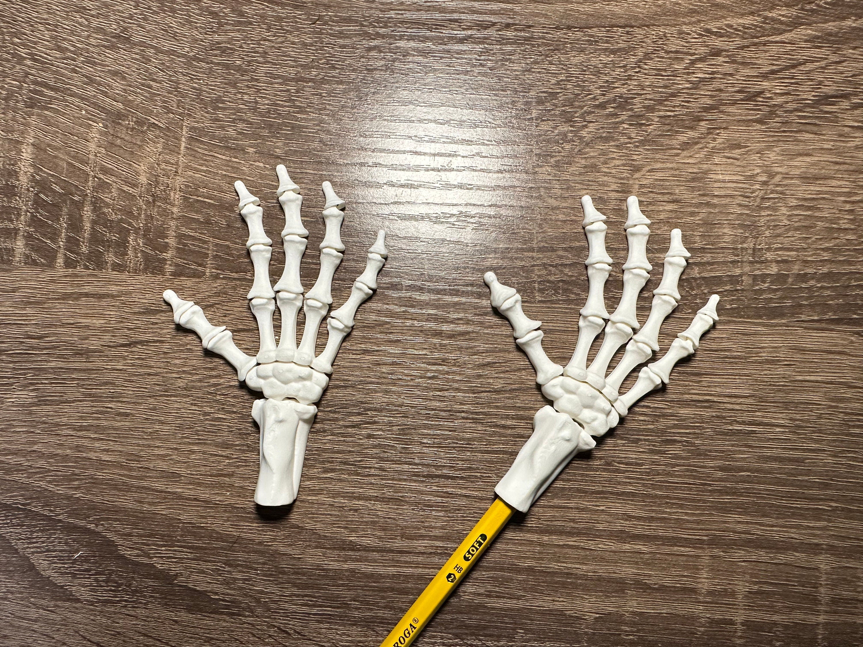 3D Printed Articulated Hand Pencil Toppers | Skeleton & Regular Hands