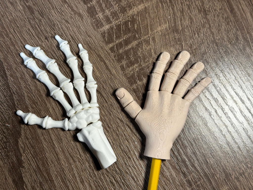 3D Printed Articulated Hand Pencil Toppers | Skeleton & Regular Hands