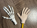 3D Printed Articulated Hand Pencil Toppers | Skeleton & Regular Hands