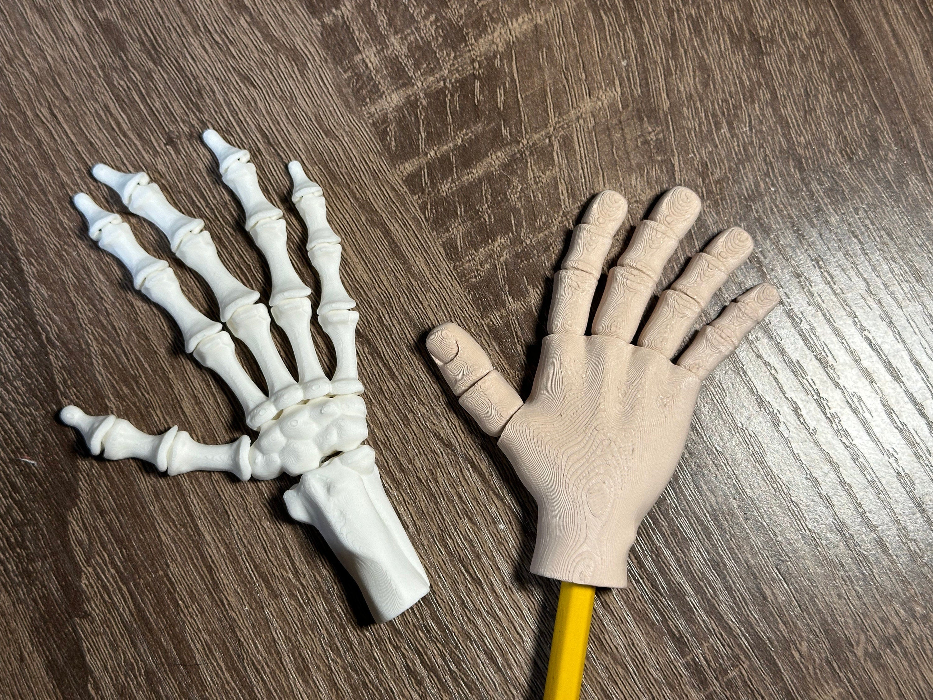 3D Printed Articulated Hand Pencil Toppers | Skeleton & Regular Hands