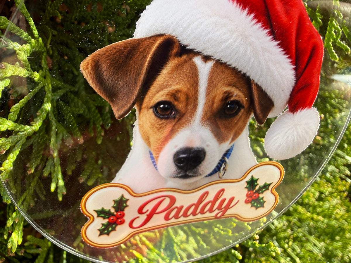 Custom Pet Portrait Ornament | 3.5" Acrylic Christmas Ornament From Your Photo