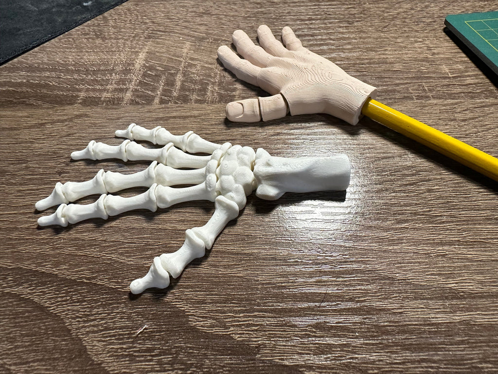 3D Printed Articulated Hand Pencil Toppers | Skeleton & Regular Hands